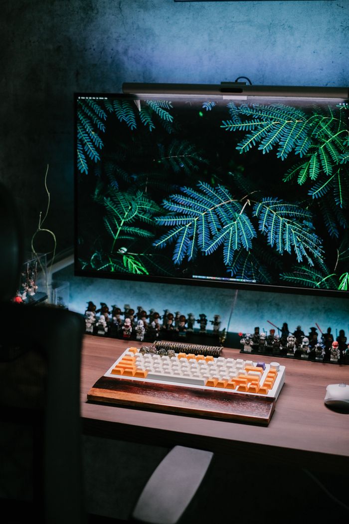 Services A stylish desk setup includes a large monitor showing vibrant foliage and a mechanical keyboard.